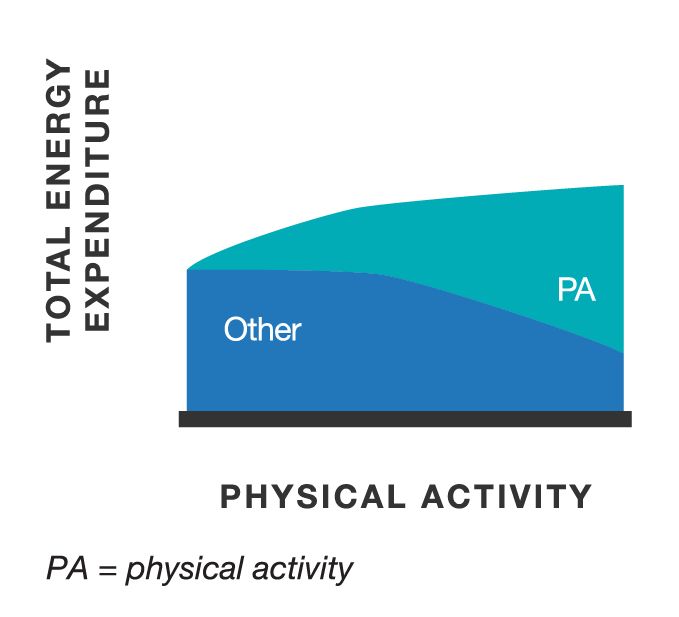 Learning affirming alternatives to "dieting"