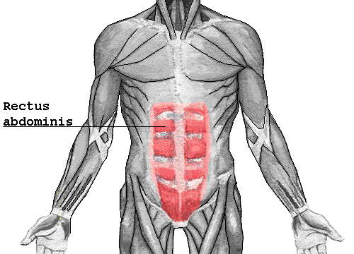 A strong lower back (even with lower back pain)